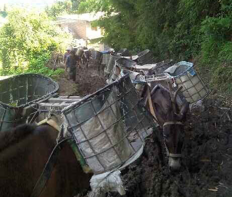 曲江区马帮搬运