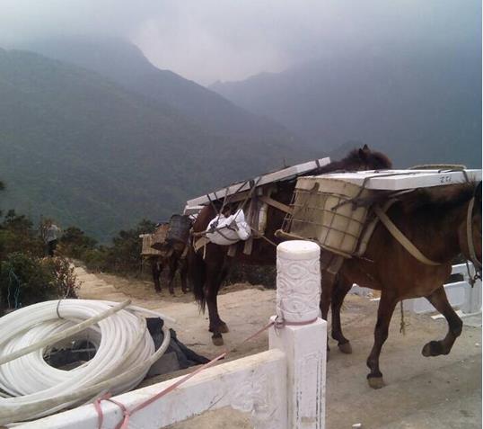 曲江区山区马帮运输