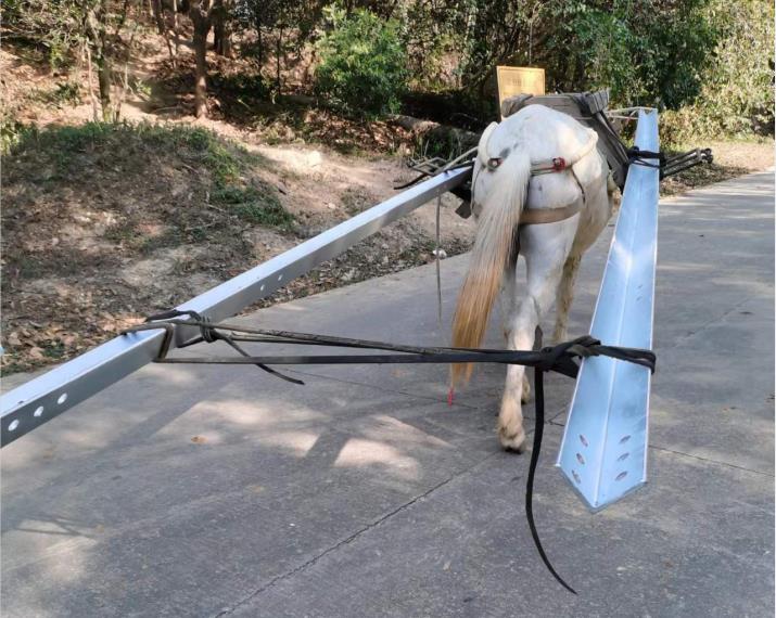 曲江区马队搬运