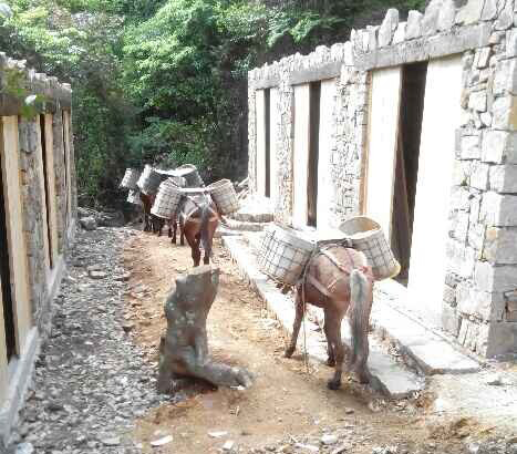 曲江区马队运输队