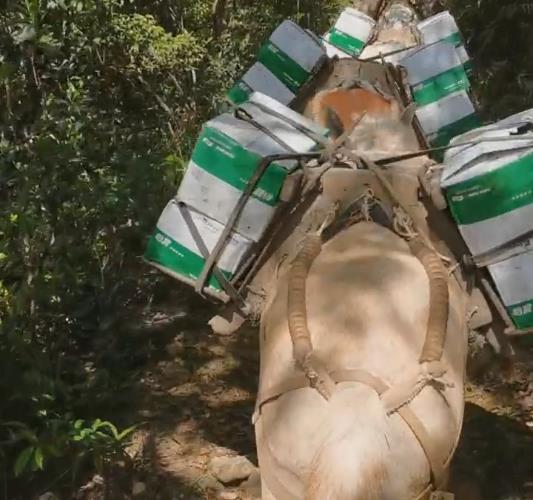 曲江区骡马山路运输