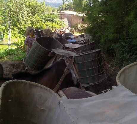 曲江区骡马运输队