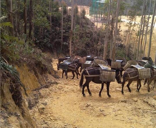 曲江区马帮山路运输