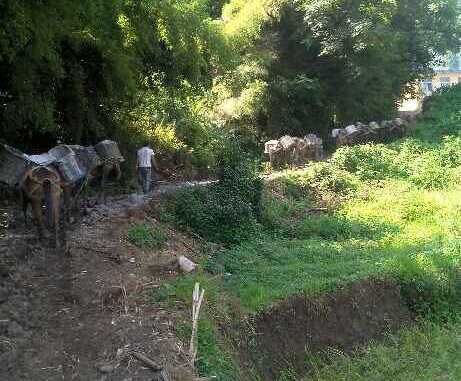 曲江区马帮运输队