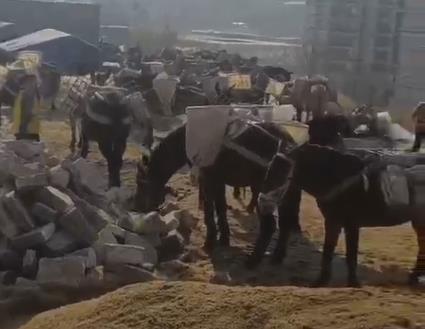 曲江区马队山路运输